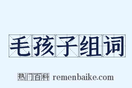 毛孩子组词是什么意思的图片